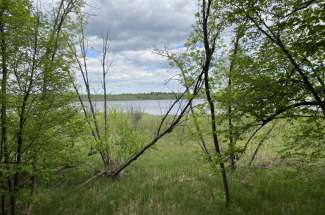 Fourth Crow Wing Lake 15236 Crescent Ridge Trail